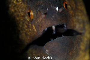 The mouth by Stan Flachs 